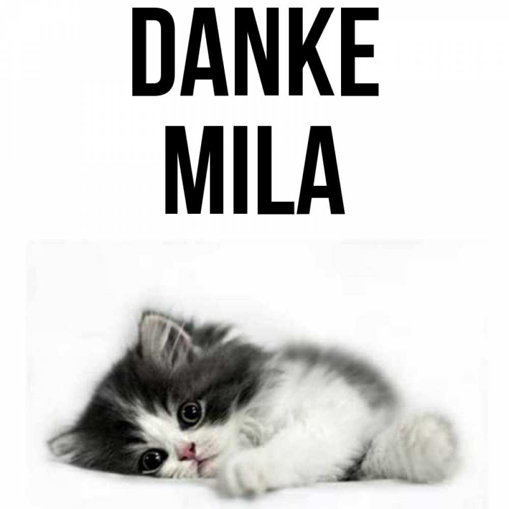 Открытка на каждый день с именем, Mila Danke черный и белый кот Прикольная открытка с пожеланием онлайн скачать бесплатно 