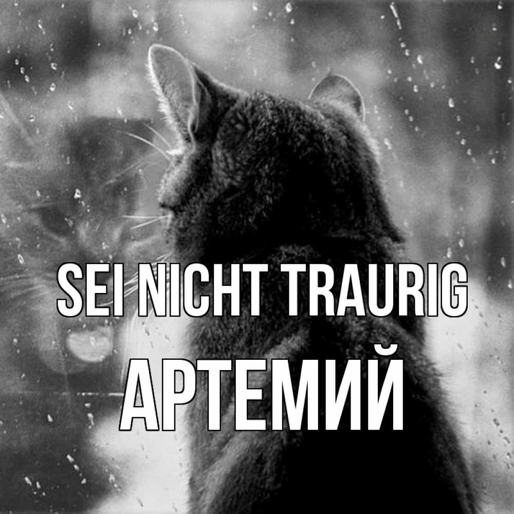 Открытка на каждый день с именем, Артемий Sei nicht traurig отражение кота 1 Прикольная открытка с пожеланием онлайн скачать бесплатно 