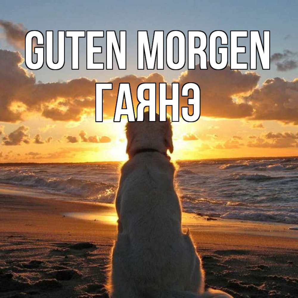 Открытка на каждый день с именем, Гаянэ Guten Morgen восход солнца Прикольная открытка с пожеланием онлайн скачать бесплатно 