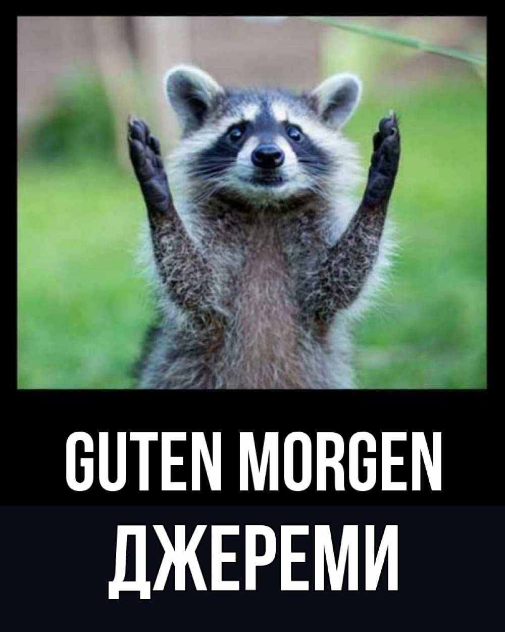 Открытка на каждый день с именем, Джереми Guten Morgen хорошее настроение утречком Прикольная открытка с пожеланием онлайн скачать бесплатно 