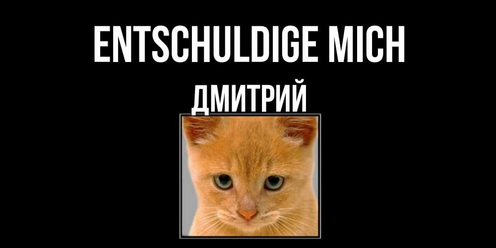Открытка на каждый день с именем, Дмитрий Entschuldige mich рыжий грустный кот просит прощения Прикольная открытка с пожеланием онлайн скачать бесплатно 