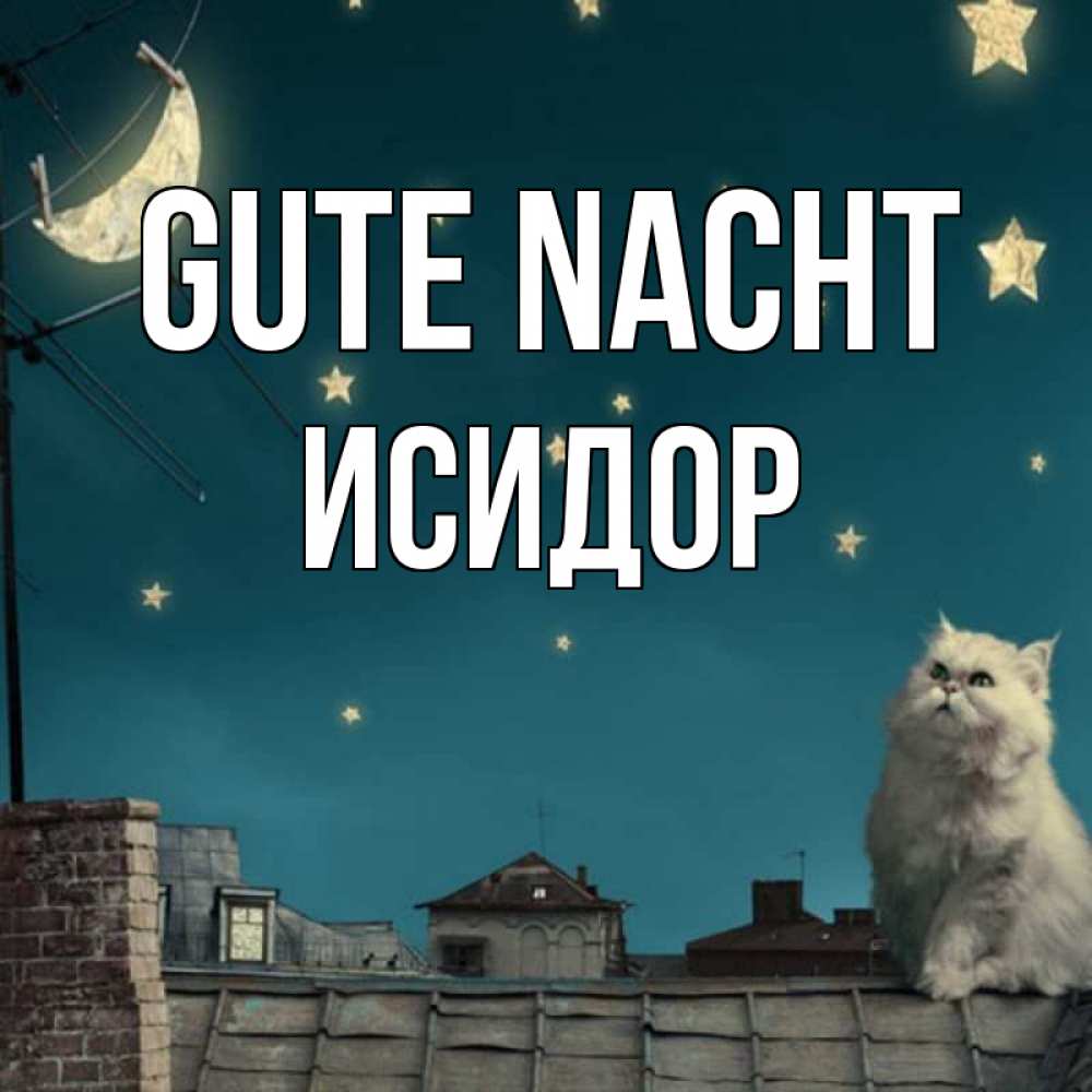 Открытка на каждый день с именем, Исидор Gute Nacht белый кот сидит на крыше Прикольная открытка с пожеланием онлайн скачать бесплатно 