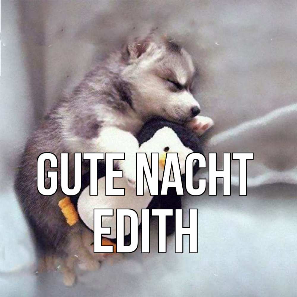 Открытка на каждый день с именем, Edith Gute Nacht обнимашки щенка и пингвина Прикольная открытка с пожеланием онлайн скачать бесплатно 