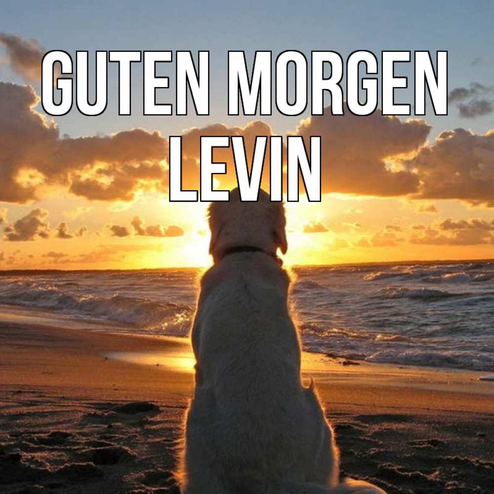 Открытка на каждый день с именем, Levin Guten Morgen восход солнца Прикольная открытка с пожеланием онлайн скачать бесплатно 