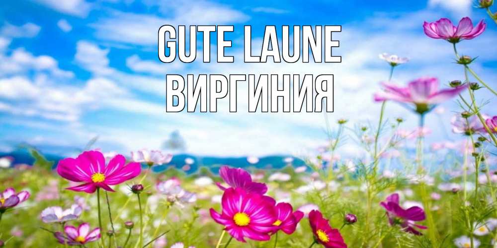 Открытка на каждый день с именем, Виргиния Gute Laune поле цветов Прикольная открытка с пожеланием онлайн скачать бесплатно 