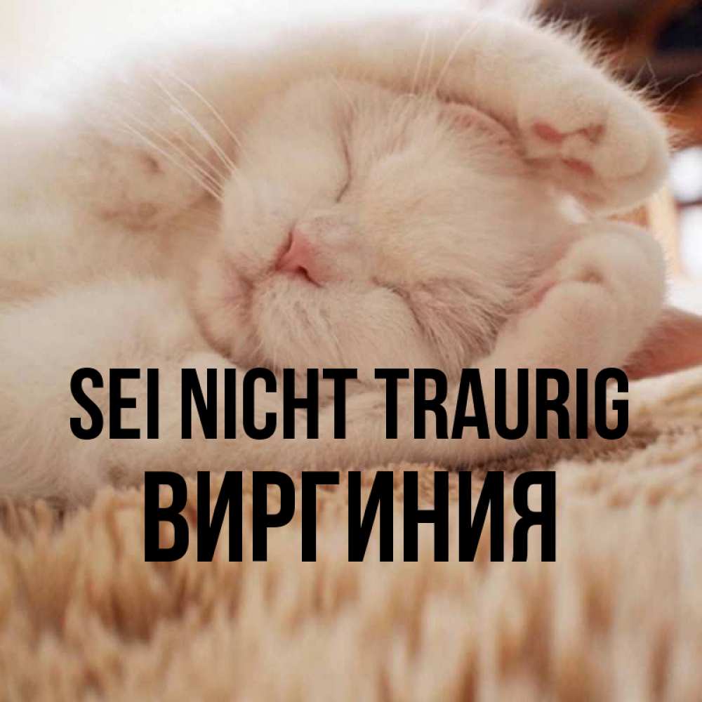 Открытка на каждый день с именем, Виргиния Sei nicht traurig Котенок спит Прикольная открытка с пожеланием онлайн скачать бесплатно 