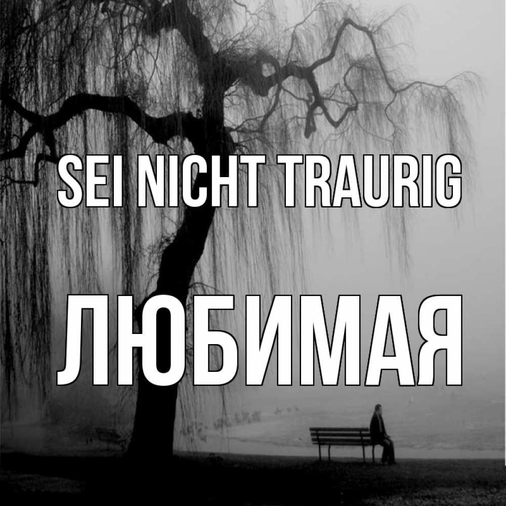 Открытка на каждый день с именем, Любимая Sei nicht traurig висящие ветки дерева и лавочка под деревом Прикольная открытка с пожеланием онлайн скачать бесплатно 