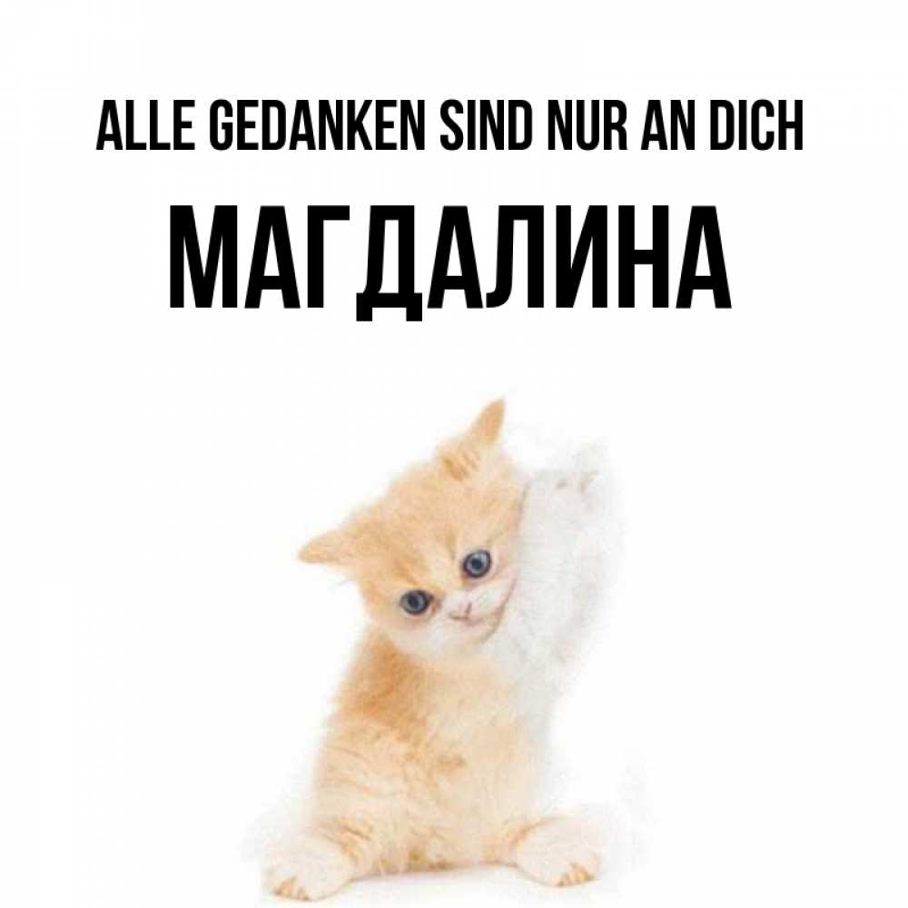 Открытка на каждый день с именем, Магдалина Alle Gedanken sind nur an dich зверушки и милота Прикольная открытка с пожеланием онлайн скачать бесплатно 