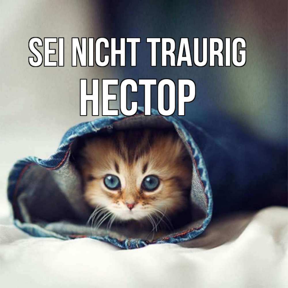 Открытка на каждый день с именем, Нестор Sei nicht traurig рыжик котик Прикольная открытка с пожеланием онлайн скачать бесплатно 