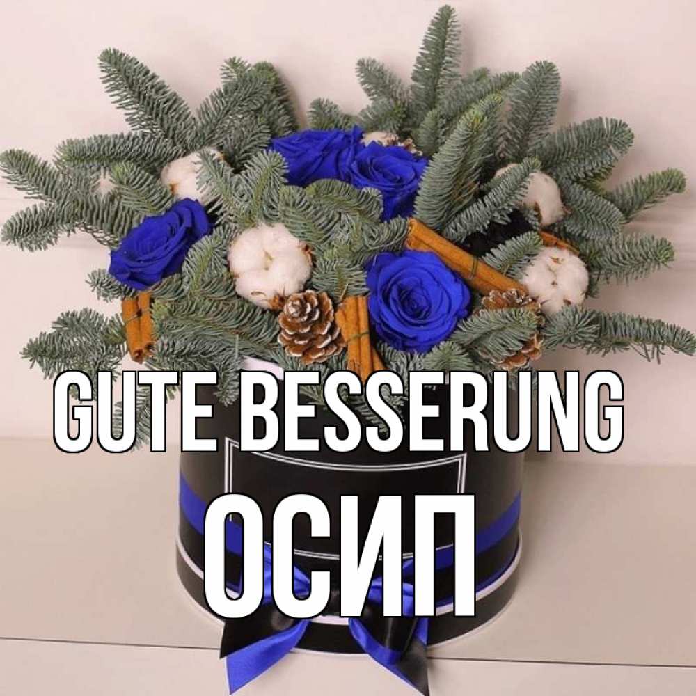 Открытка на каждый день с именем, Осип Gute Besserung короче кто то загрузил эти шишки Прикольная открытка с пожеланием онлайн скачать бесплатно 