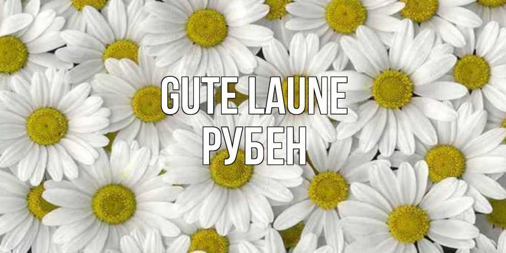 Открытка на каждый день с именем, Рубен Gute Laune поляна ромашек Прикольная открытка с пожеланием онлайн скачать бесплатно 