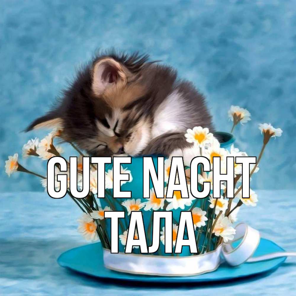 Открытка на каждый день с именем, Тала Gute Nacht котенок спит в кружке с блюдцем Прикольная открытка с пожеланием онлайн скачать бесплатно 