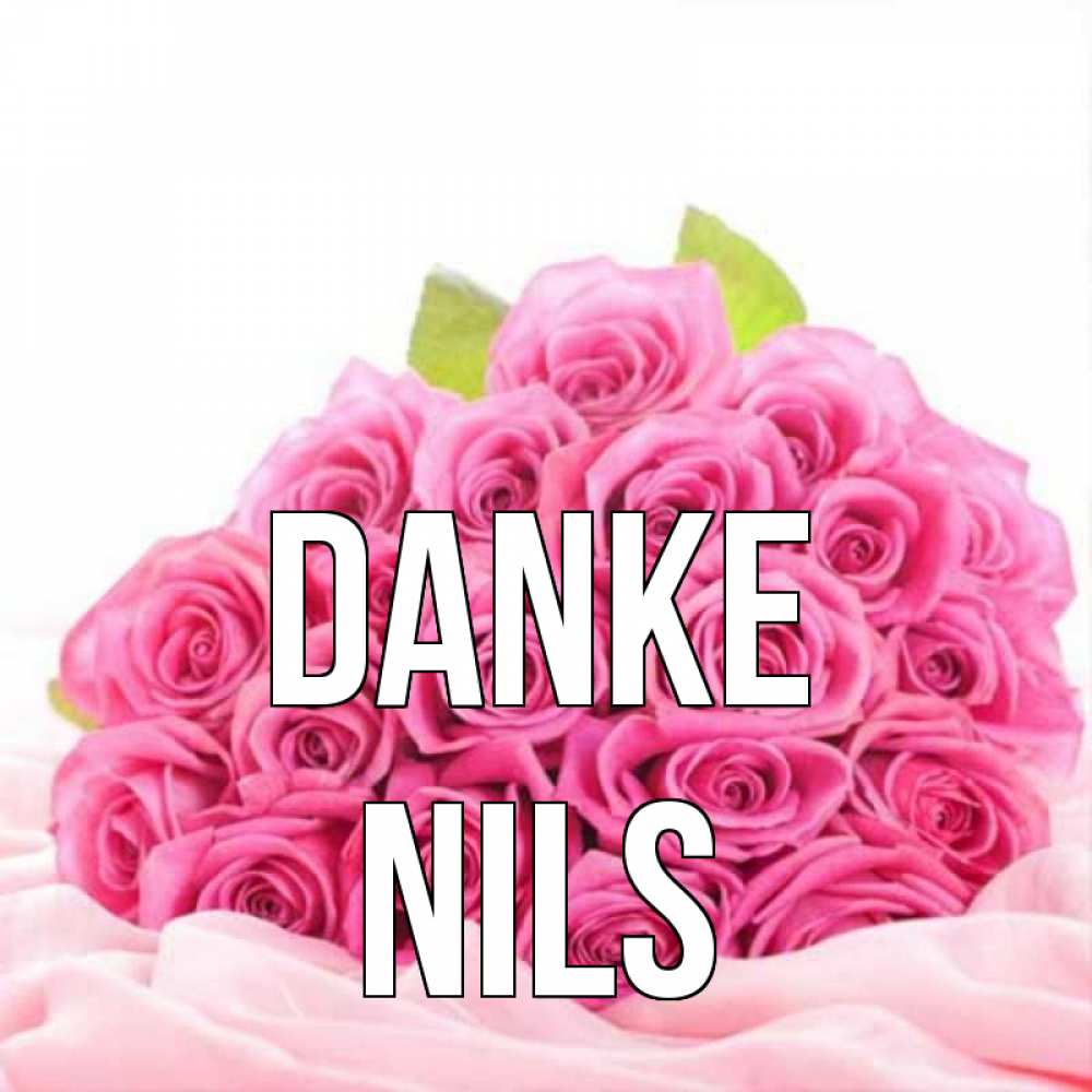 Открытка на каждый день с именем, Nils Danke розовые розы с подписью Прикольная открытка с пожеланием онлайн скачать бесплатно 