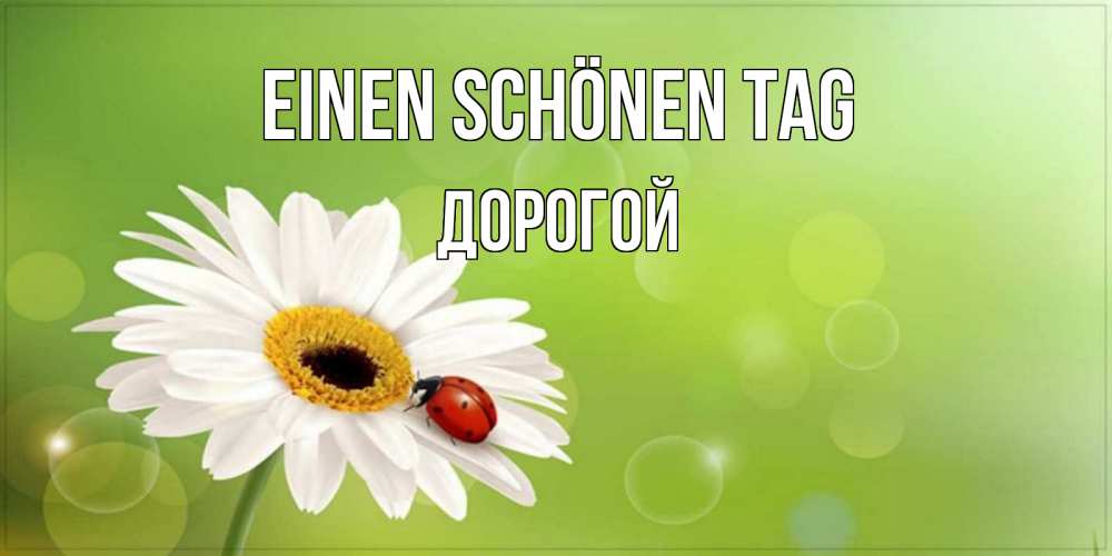Открытка на каждый день с именем, Дорогой Einen schönen Tag зеленый фон и ромашка Прикольная открытка с пожеланием онлайн скачать бесплатно 