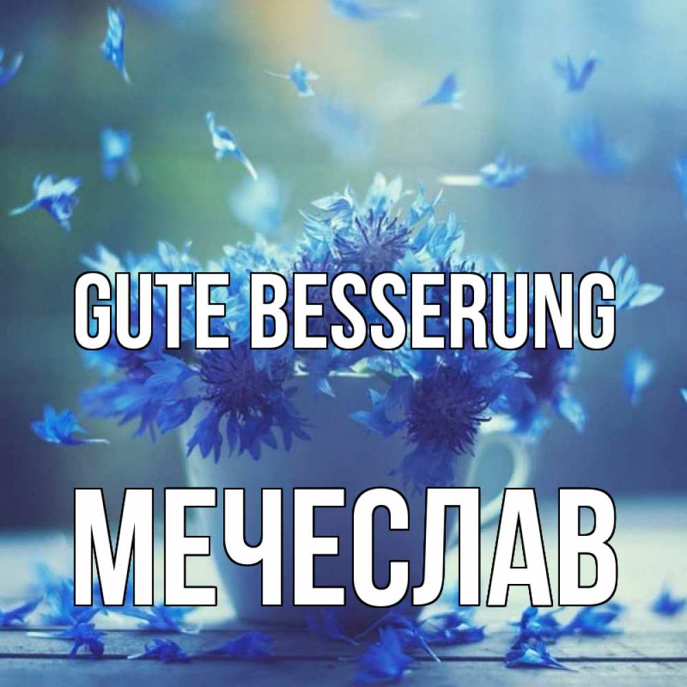 Открытка на каждый день с именем, Мечеслав Gute Besserung кружка с зельем и цветами Прикольная открытка с пожеланием онлайн скачать бесплатно 