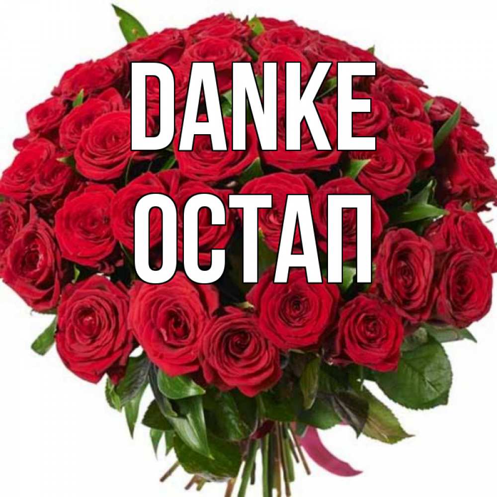 Открытка на каждый день с именем, Остап Danke букет красных роз Прикольная открытка с пожеланием онлайн скачать бесплатно 