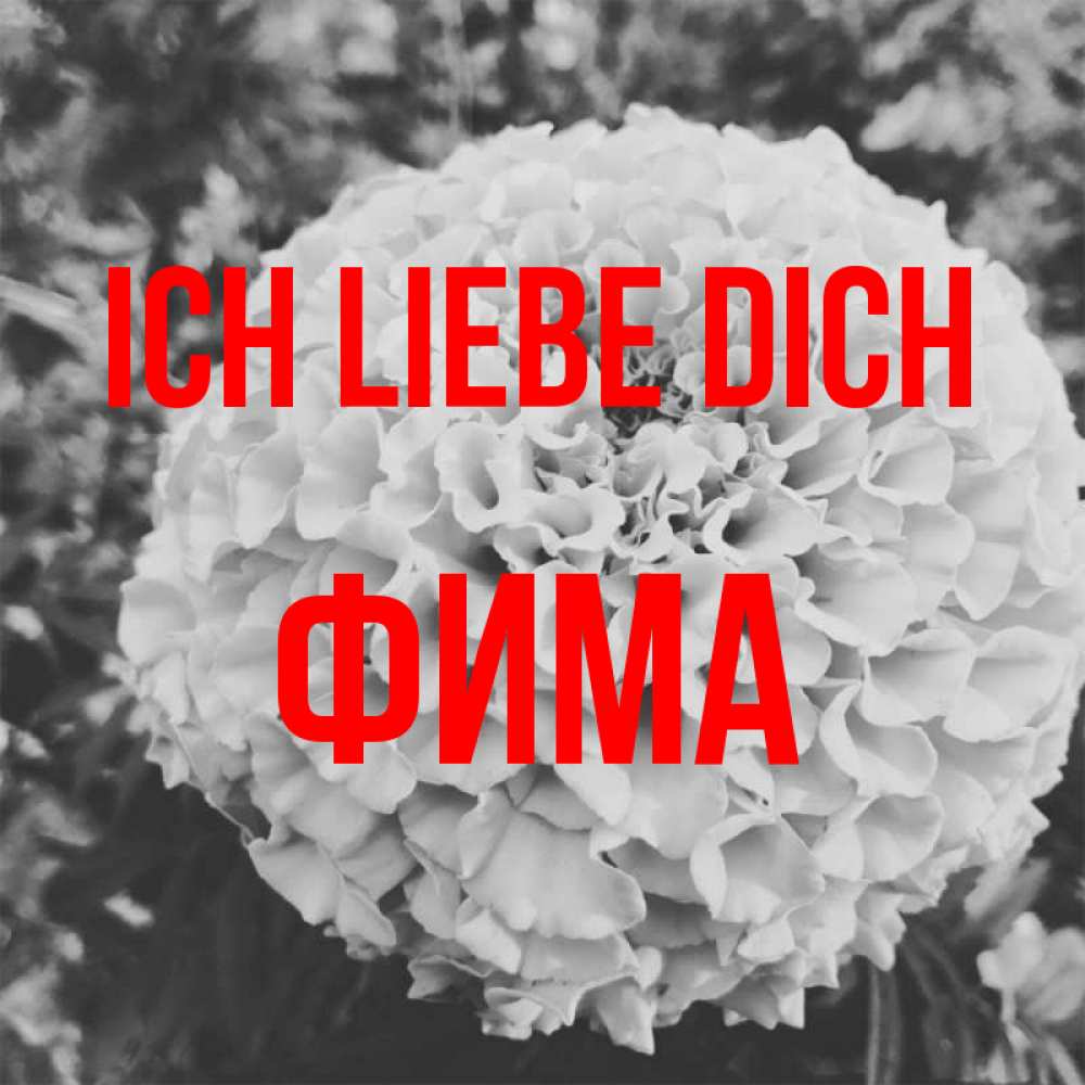 Открытка на каждый день с именем, Фима Ich liebe dich подпись Прикольная открытка с пожеланием онлайн скачать бесплатно 