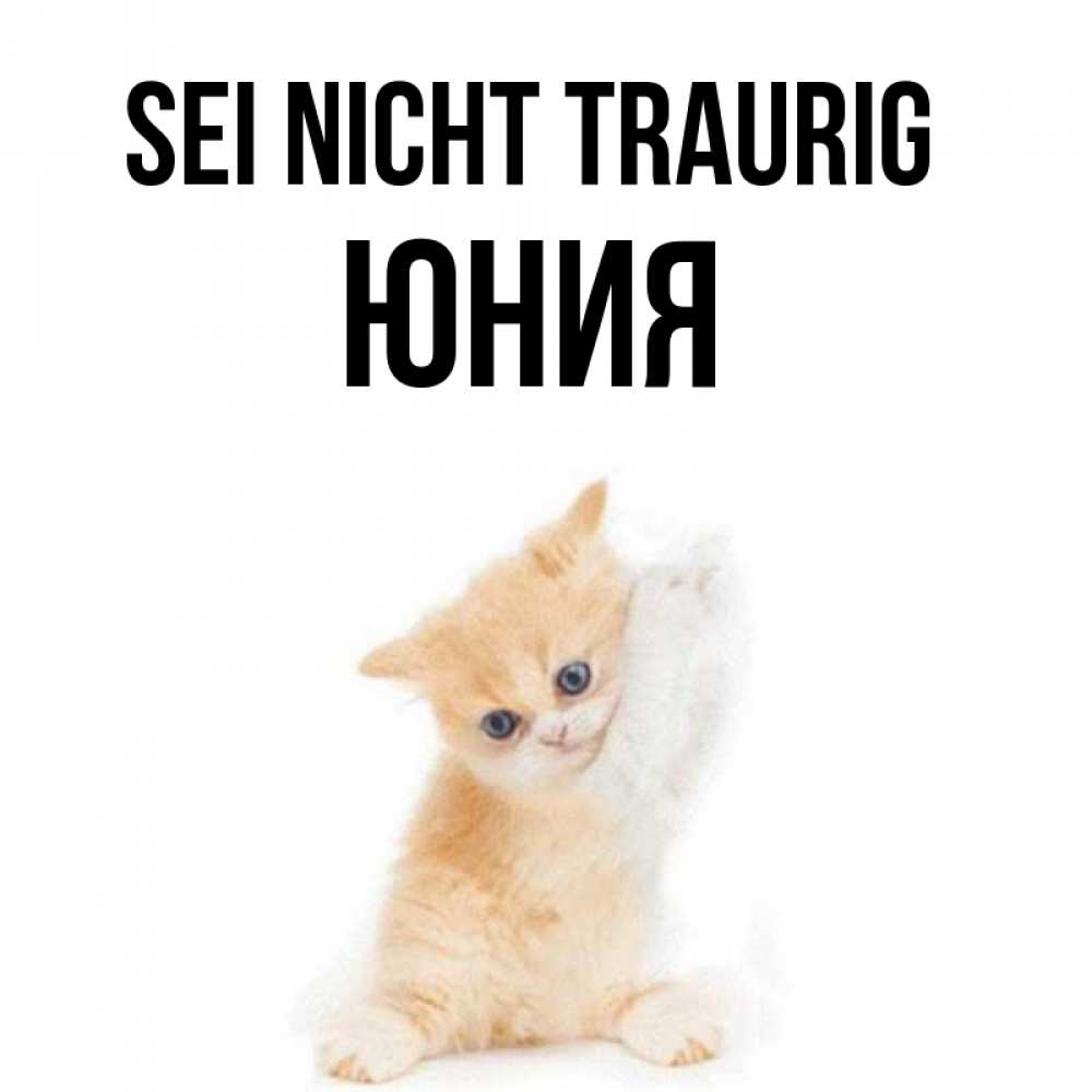 Открытка на каждый день с именем, Юния Sei nicht traurig просящий кот Прикольная открытка с пожеланием онлайн скачать бесплатно 