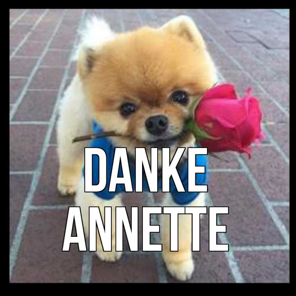 Открытка на каждый день с именем, Annette Danke спасибо и дарю тебе цветок Прикольная открытка с пожеланием онлайн скачать бесплатно 