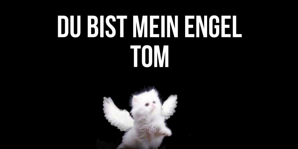 Открытка на каждый день с именем, Tom Du bist mein Engel Кот ангел Прикольная открытка с пожеланием онлайн скачать бесплатно 