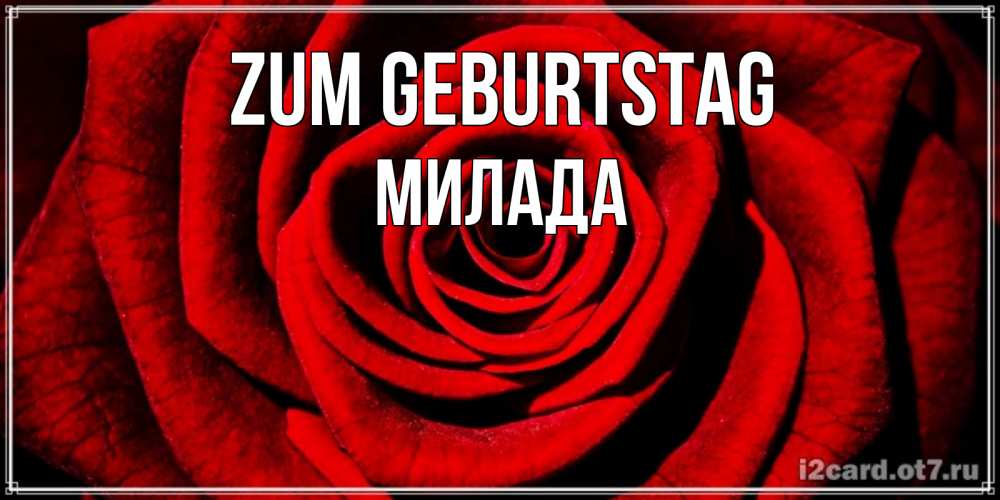 Открытка на каждый день с именем, Милада Zum Geburtstag алая роза Прикольная открытка с пожеланием онлайн скачать бесплатно 
