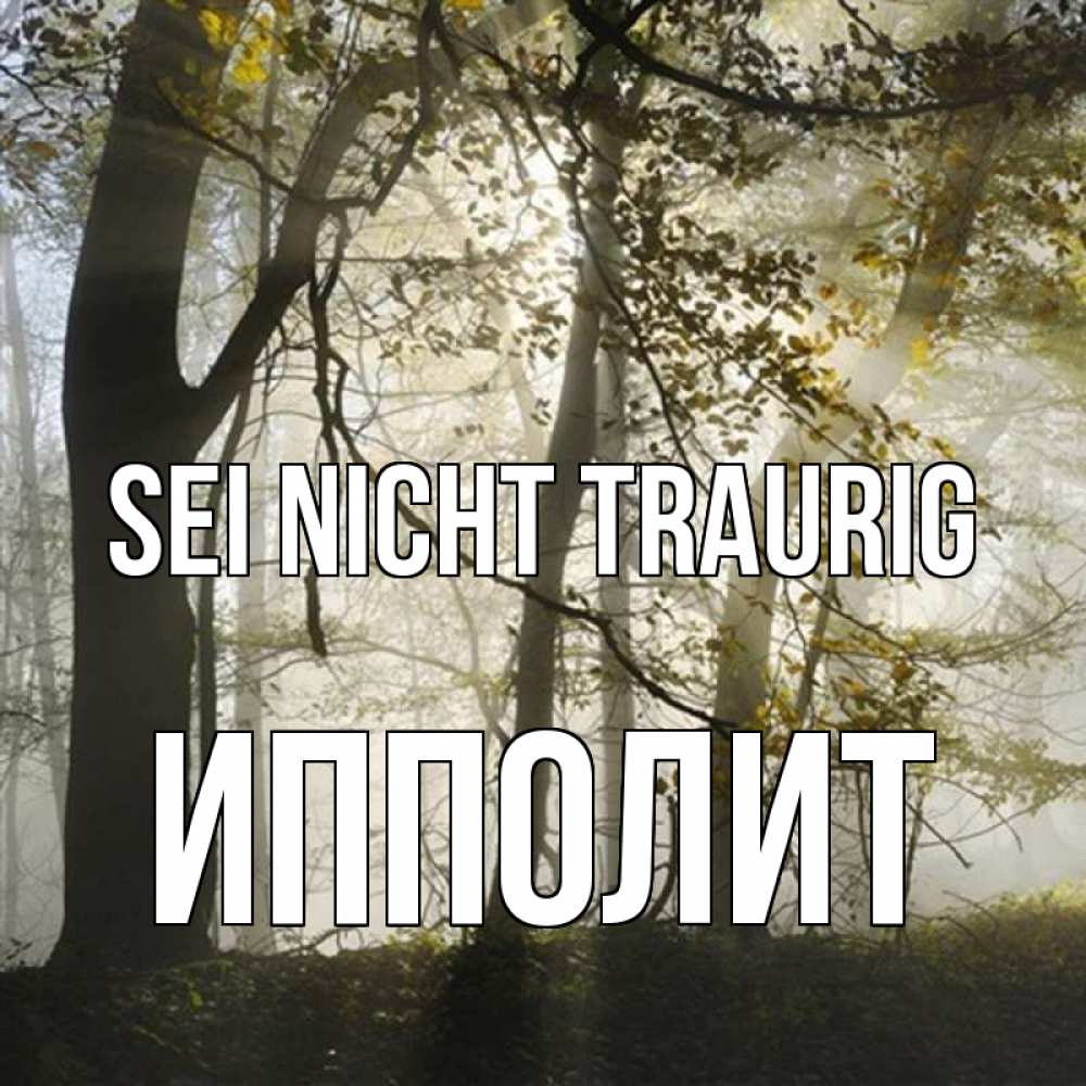 Открытка на каждый день с именем, Ипполит Sei nicht traurig лес и свет Прикольная открытка с пожеланием онлайн скачать бесплатно 