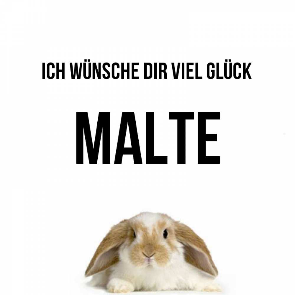 Открытка на каждый день с именем, Malte Ich wünsche dir viel Glück открытки с произвольным текстом который можно вставить в открытку и создать ее самостоятельно бесплатно онлайн Прикольная открытка с пожеланием онлайн скачать бесплатно 