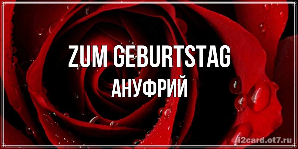 Открытка на каждый день с именем, Ануфрий Zum Geburtstag крупная бордовая роза Прикольная открытка с пожеланием онлайн скачать бесплатно 