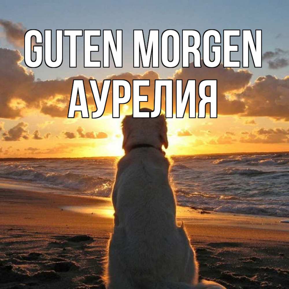 Открытка на каждый день с именем, Аурелия Guten Morgen восход солнца Прикольная открытка с пожеланием онлайн скачать бесплатно 
