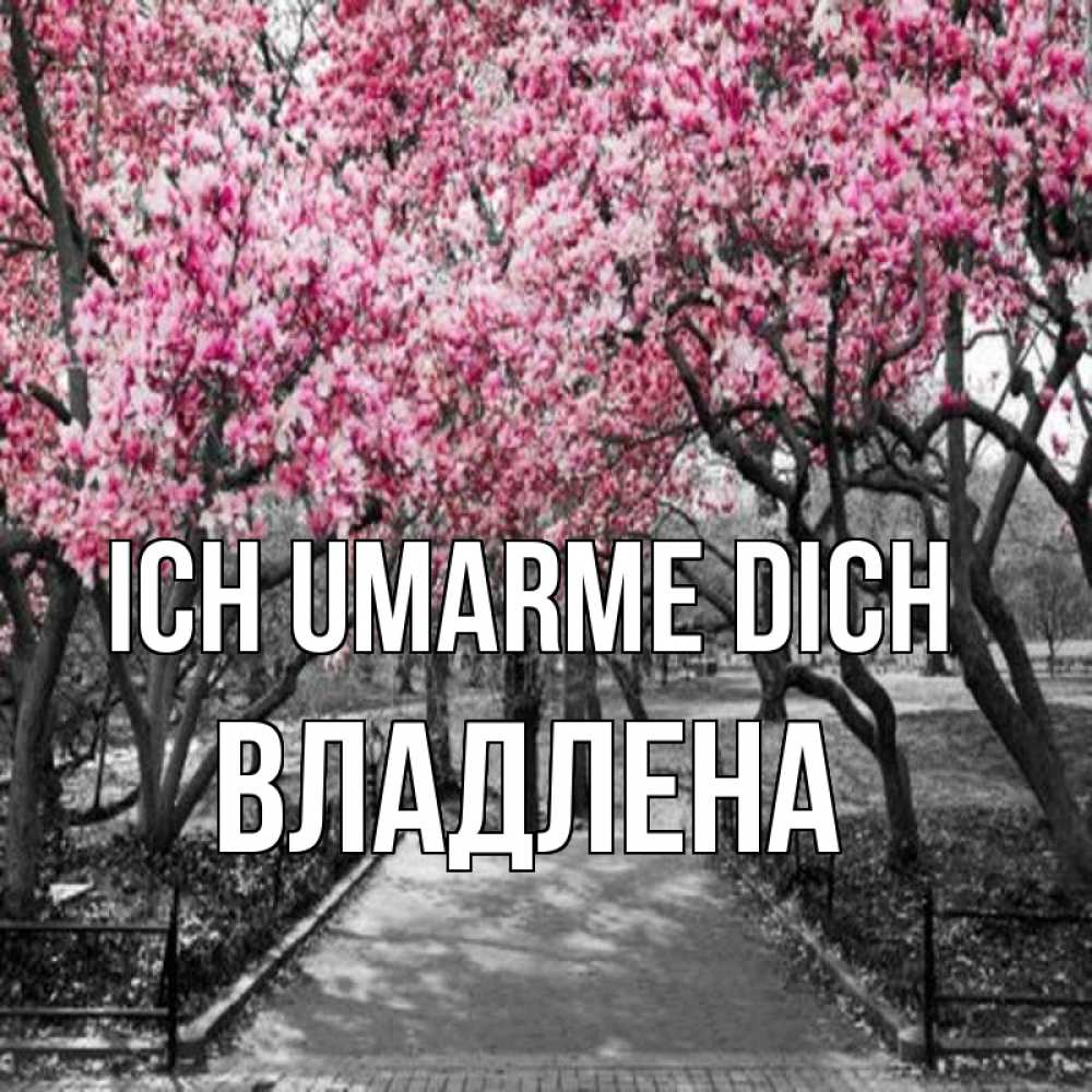Открытка на каждый день с именем, Владлена Ich umarme dich обработанное фото Прикольная открытка с пожеланием онлайн скачать бесплатно 