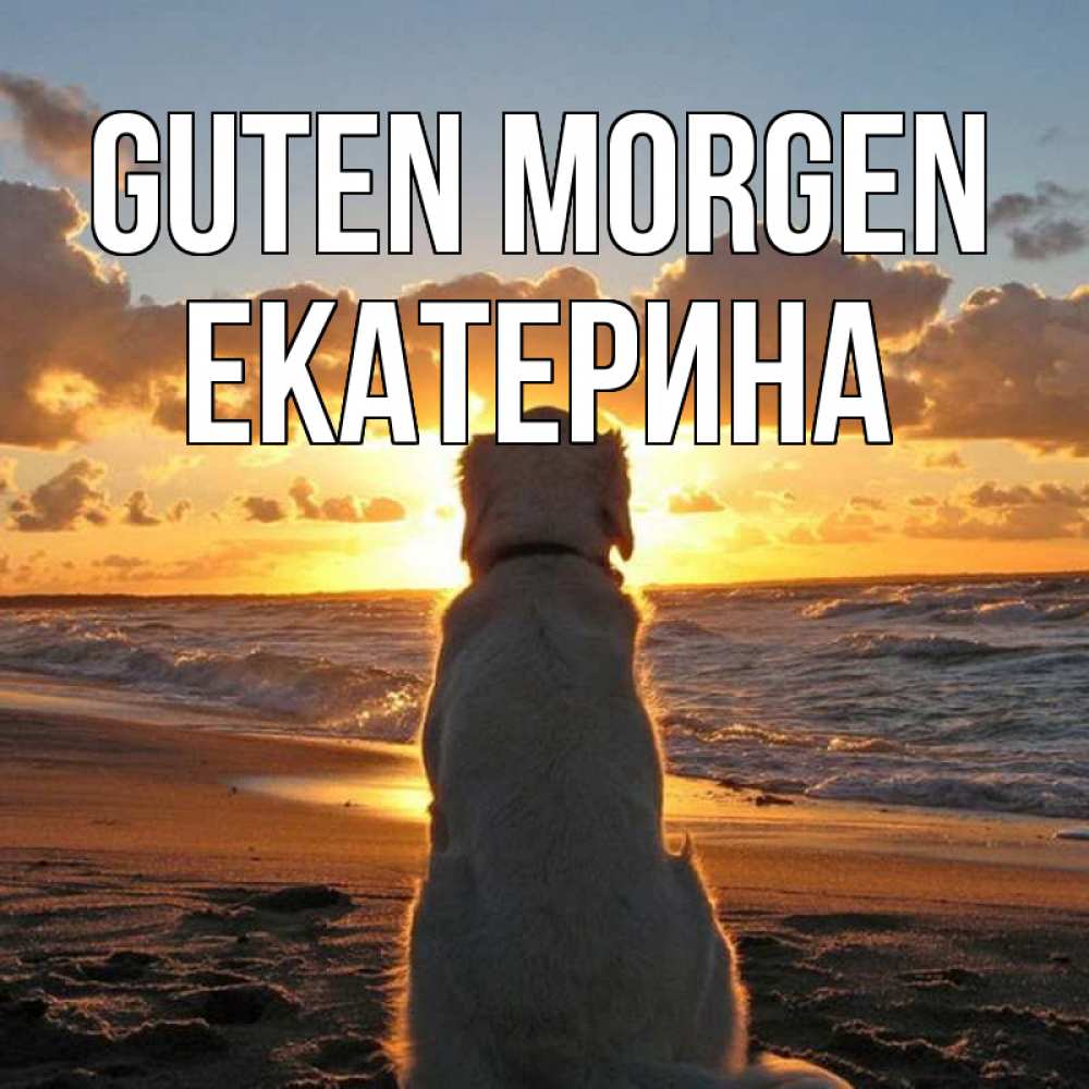 Открытка на каждый день с именем, Екатерина Guten Morgen восход солнца Прикольная открытка с пожеланием онлайн скачать бесплатно 