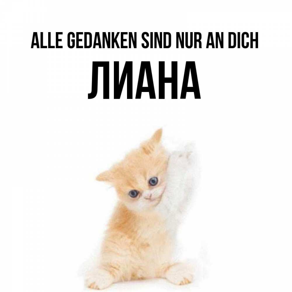 Открытка на каждый день с именем, Лиана Alle Gedanken sind nur an dich зверушки и милота Прикольная открытка с пожеланием онлайн скачать бесплатно 