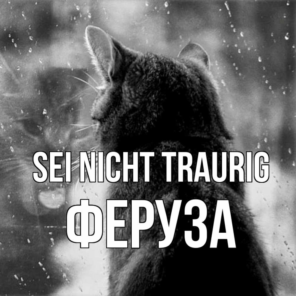 Открытка на каждый день с именем, Феруза Sei nicht traurig отражение кота 1 Прикольная открытка с пожеланием онлайн скачать бесплатно 