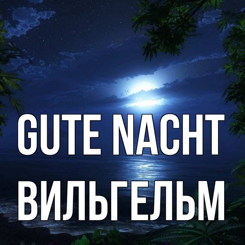 Открытка на каждый день с именем, Вильгельм Gute Nacht тропический остров Прикольная открытка с пожеланием онлайн скачать бесплатно 