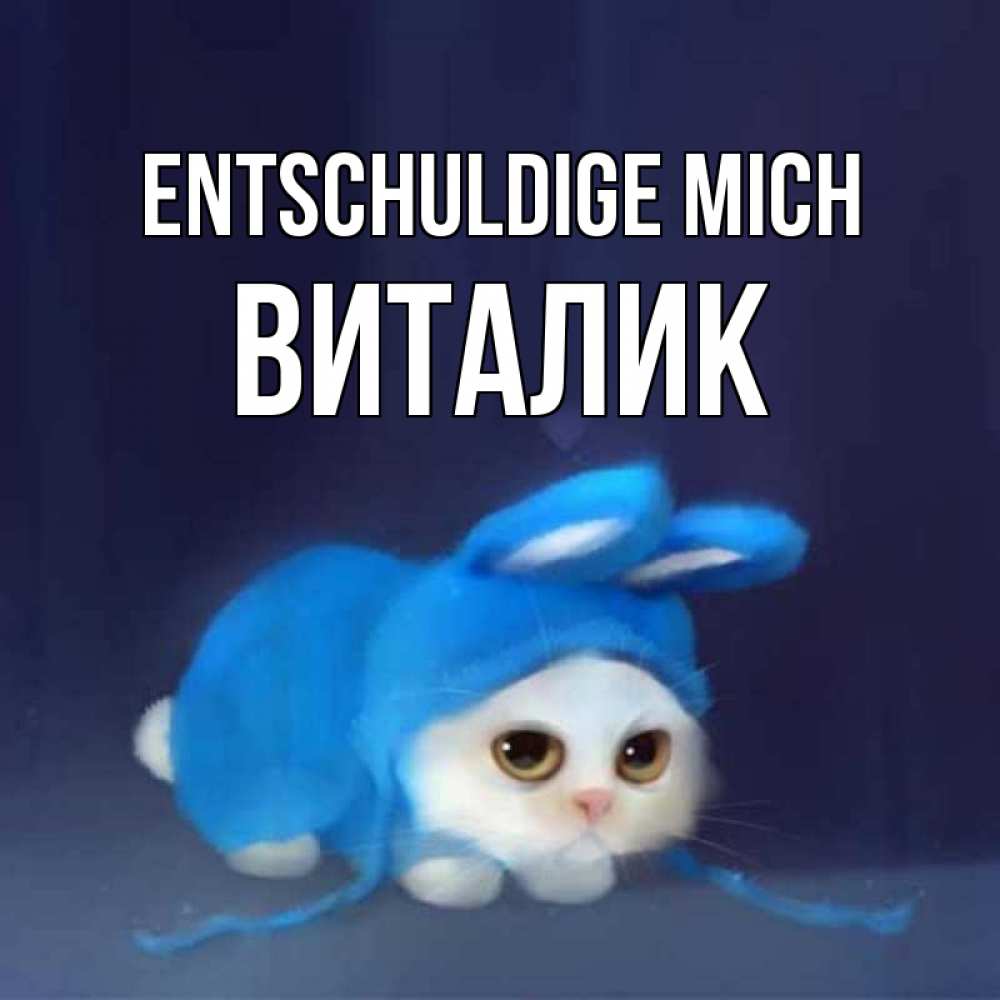 Открытка на каждый день с именем, Виталик Entschuldige mich невинный котозай просит прощения Прикольная открытка с пожеланием онлайн скачать бесплатно 