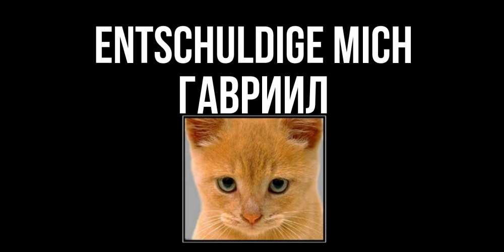 Открытка на каждый день с именем, Гавриил Entschuldige mich рыжий грустный кот просит прощения Прикольная открытка с пожеланием онлайн скачать бесплатно 