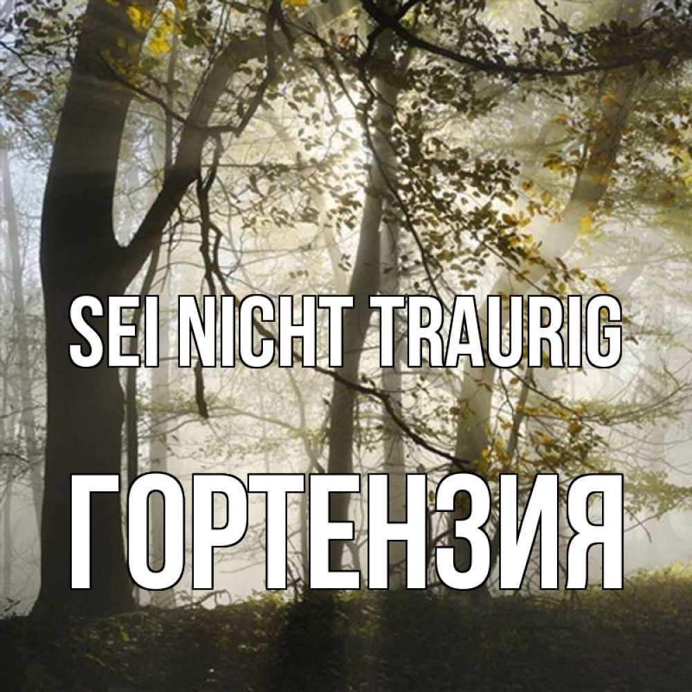 Открытка на каждый день с именем, Гортензия Sei nicht traurig лес и свет Прикольная открытка с пожеланием онлайн скачать бесплатно 