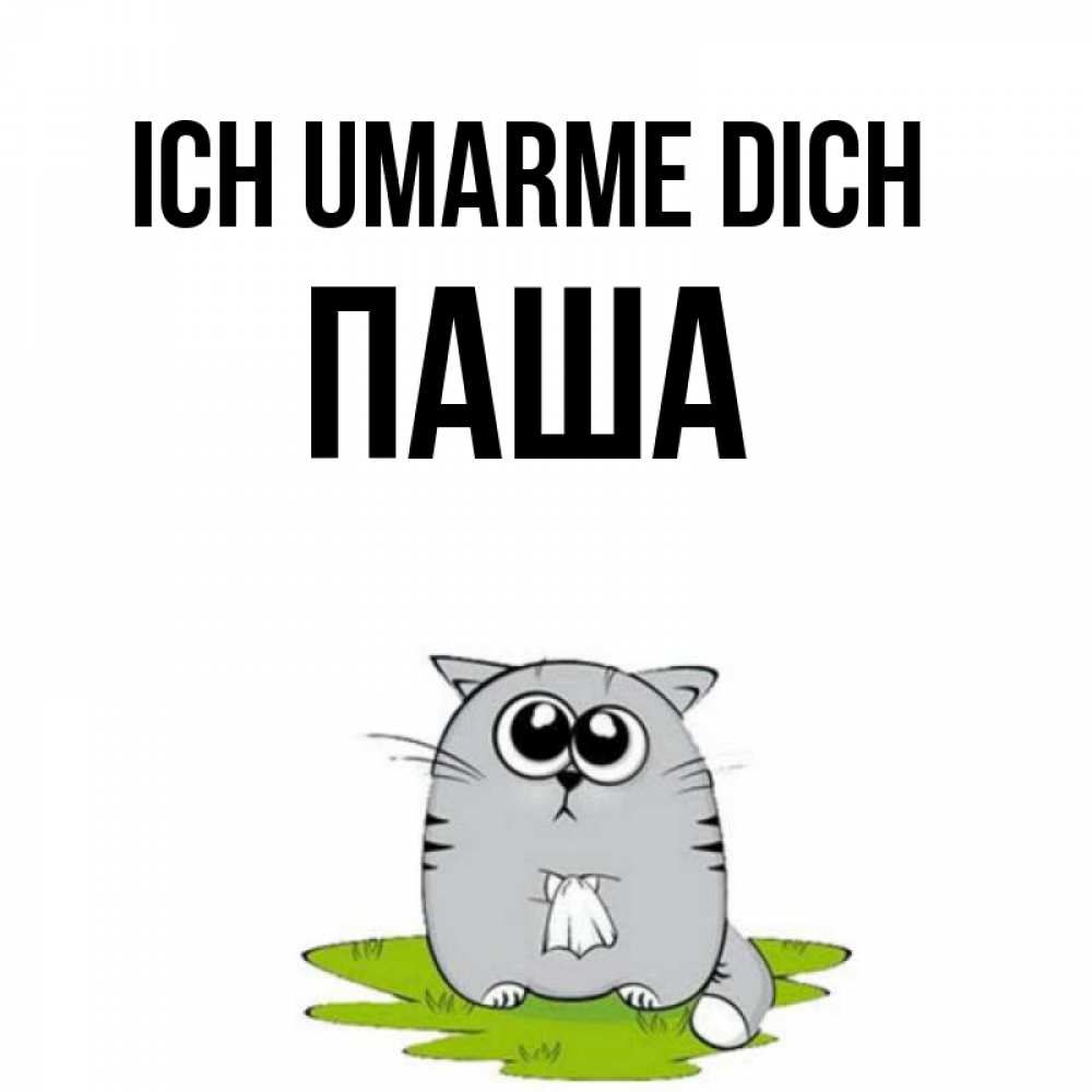 Открытка на каждый день с именем, Паша Ich umarme dich котик теребит платочек сидя на травке Прикольная открытка с пожеланием онлайн скачать бесплатно 