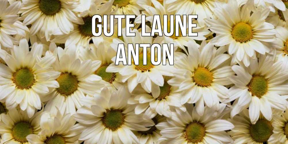 Открытка на каждый день с именем, Anton Gute Laune крупные ромашки Прикольная открытка с пожеланием онлайн скачать бесплатно 