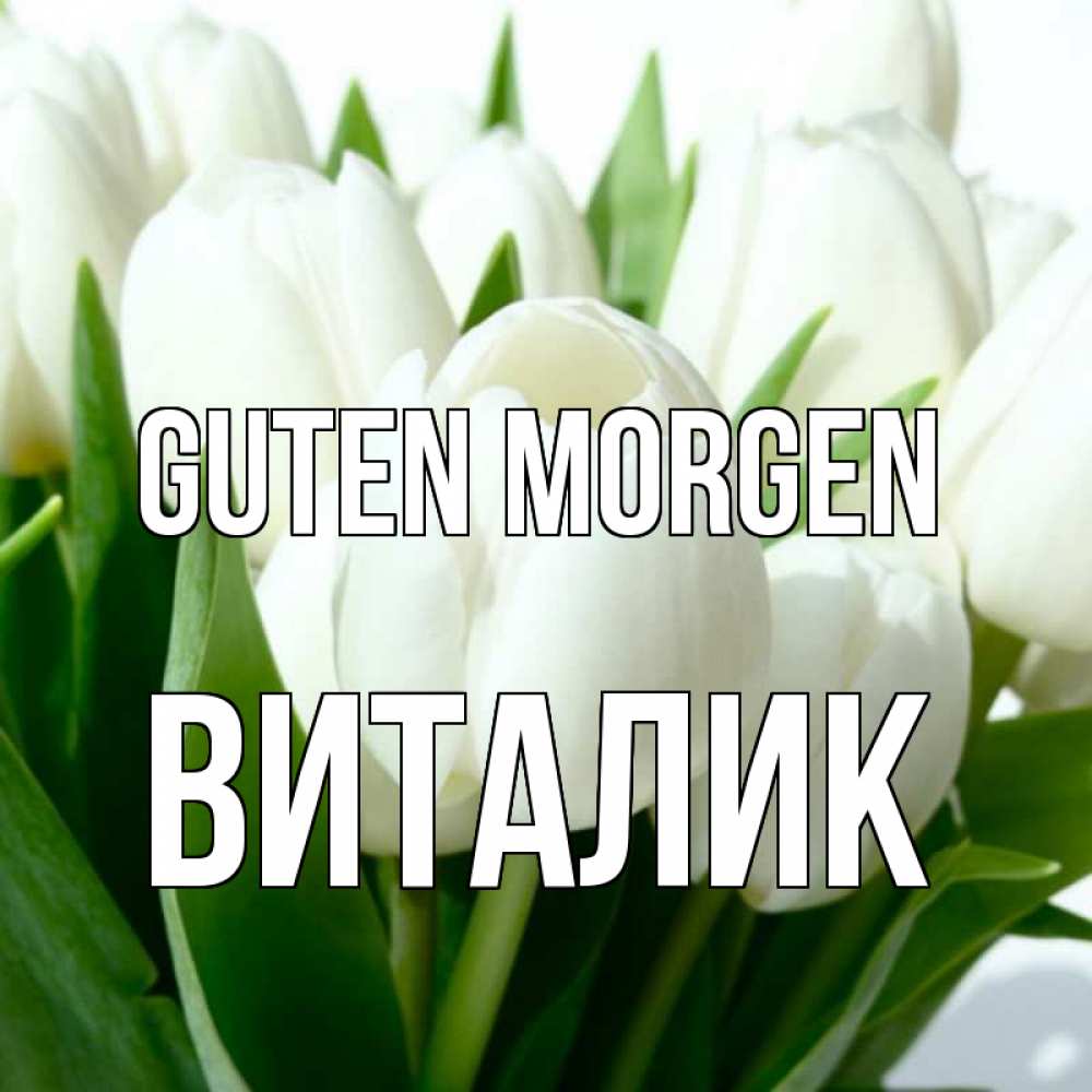 Открытка на каждый день с именем, Виталик Guten Morgen открытки на каждый день по именам Прикольная открытка с пожеланием онлайн скачать бесплатно 
