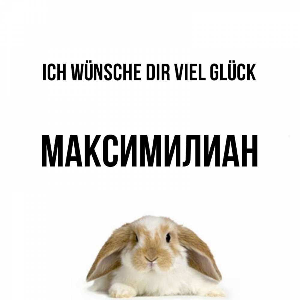 Открытка на каждый день с именем, Максимилиан Ich wünsche dir viel Glück открытки с произвольным текстом который можно вставить в открытку и создать ее самостоятельно бесплатно онлайн Прикольная открытка с пожеланием онлайн скачать бесплатно 