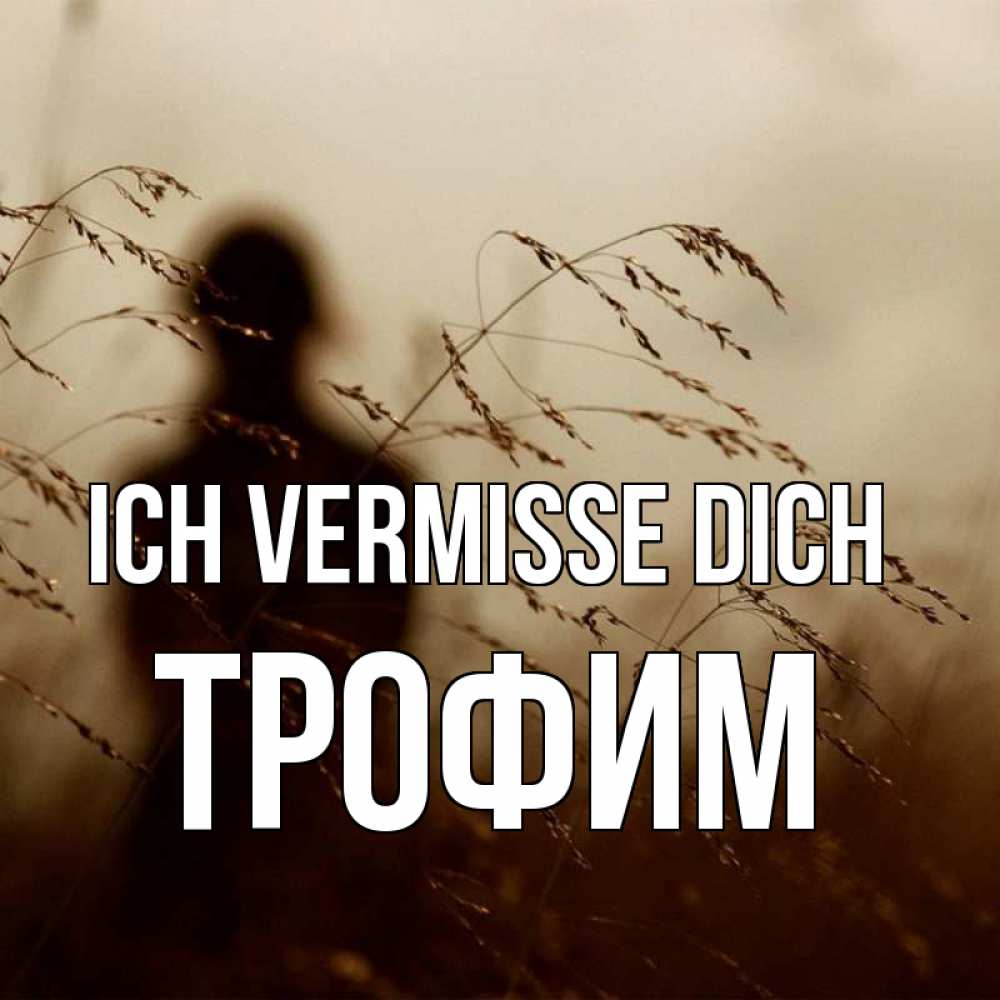 Открытка на каждый день с именем, Трофим Ich vermisse dich силуэт девушки Прикольная открытка с пожеланием онлайн скачать бесплатно 