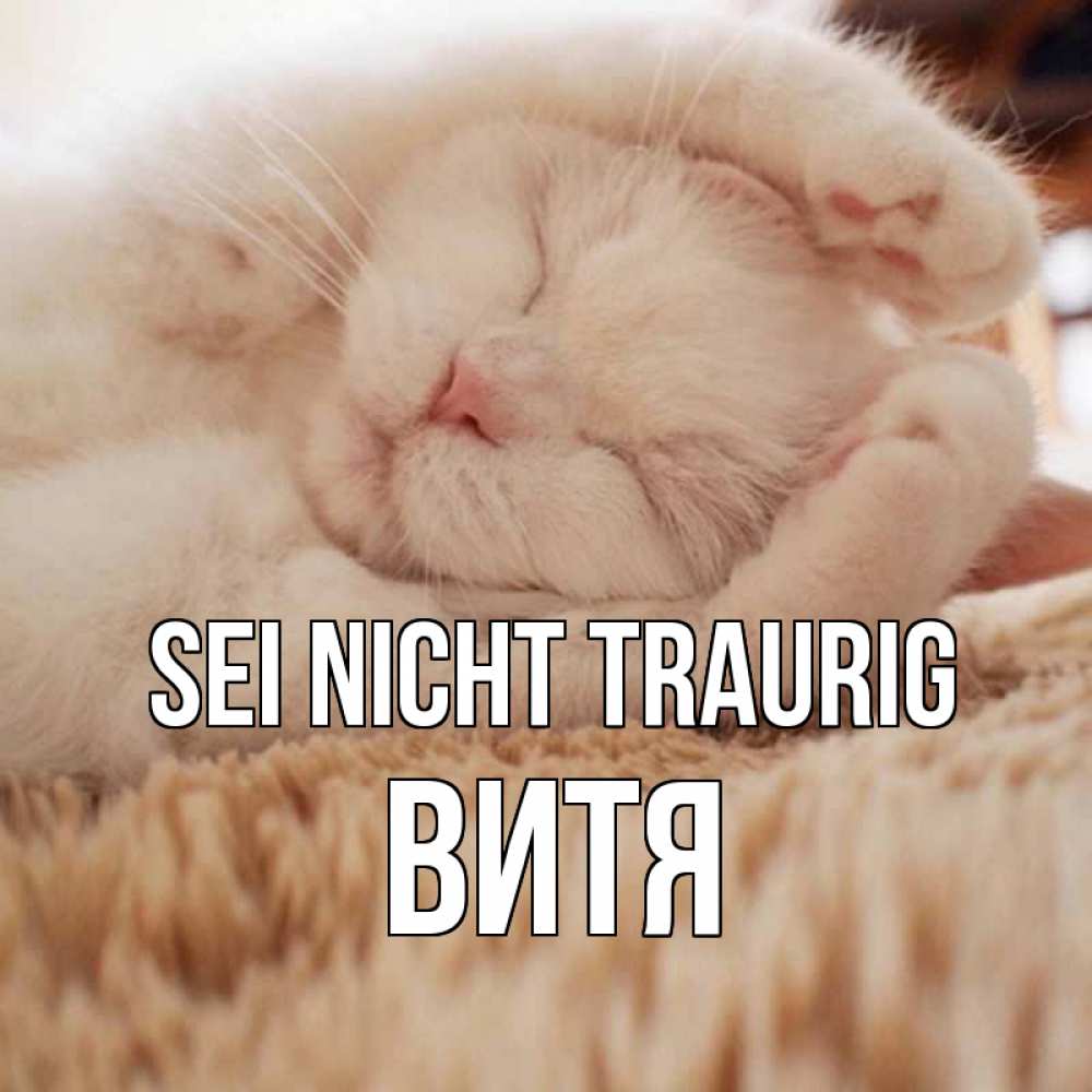Открытка на каждый день с именем, Витя Sei nicht traurig белый кот Прикольная открытка с пожеланием онлайн скачать бесплатно 