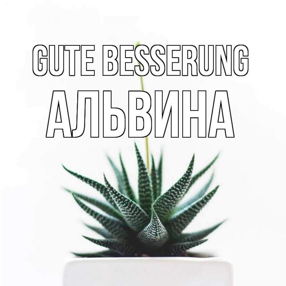 Открытка на каждый день с именем, Альвина Gute Besserung короче это непонятная колючка Прикольная открытка с пожеланием онлайн скачать бесплатно 