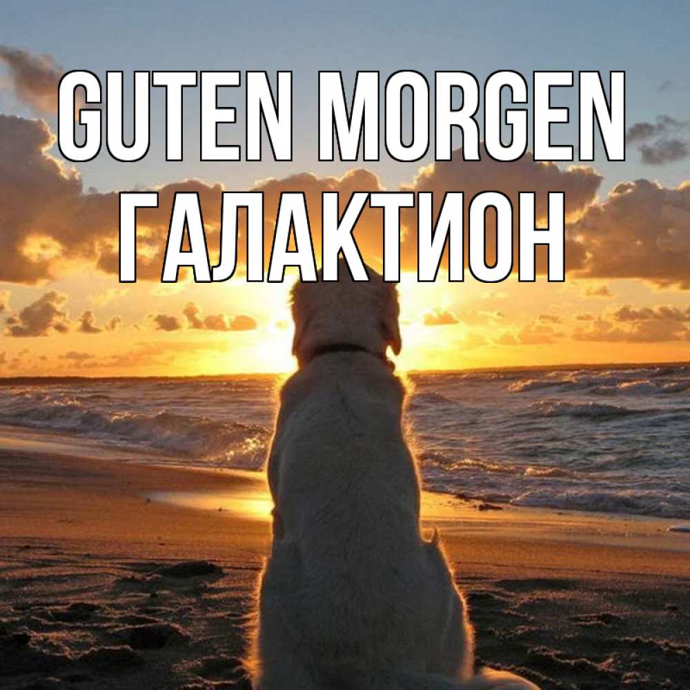 Открытка на каждый день с именем, Галактион Guten Morgen восход солнца Прикольная открытка с пожеланием онлайн скачать бесплатно 