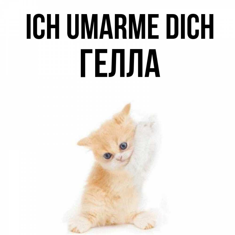 Открытка на каждый день с именем, Гелла Ich umarme dich я хочу очень скорее обнимаешек Прикольная открытка с пожеланием онлайн скачать бесплатно 