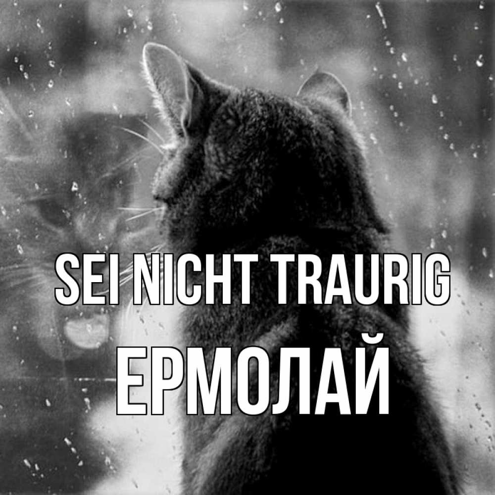 Открытка на каждый день с именем, Ермолай Sei nicht traurig отражение кота 1 Прикольная открытка с пожеланием онлайн скачать бесплатно 