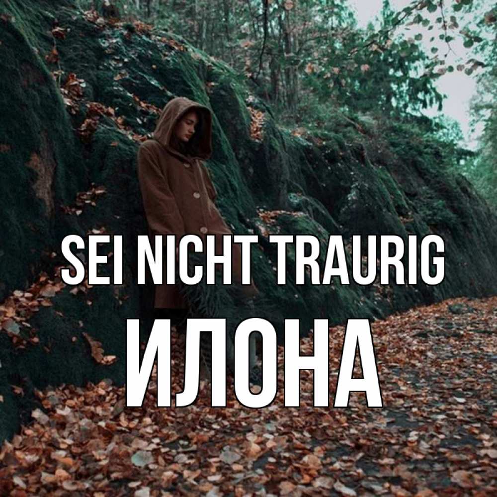 Открытка на каждый день с именем, Илона Sei nicht traurig осенний лес Прикольная открытка с пожеланием онлайн скачать бесплатно 