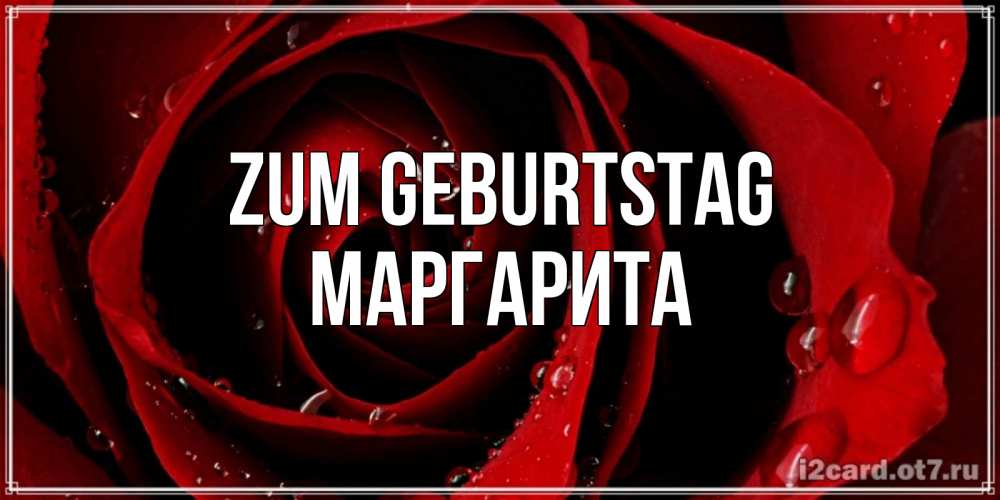 Открытка на каждый день с именем, Маргарита Zum Geburtstag крупная бордовая роза Прикольная открытка с пожеланием онлайн скачать бесплатно 