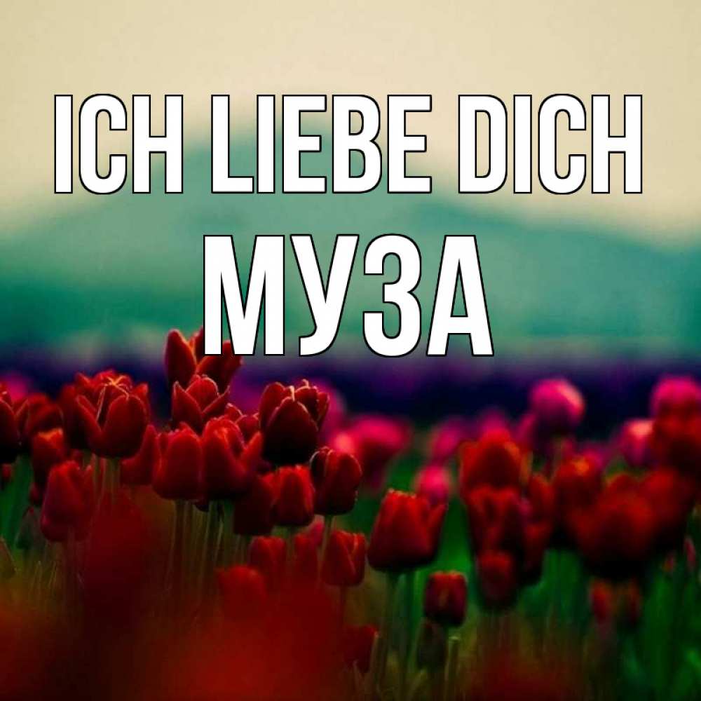 Открытка на каждый день с именем, Муза Ich liebe dich тюльпаны 4 Прикольная открытка с пожеланием онлайн скачать бесплатно 
